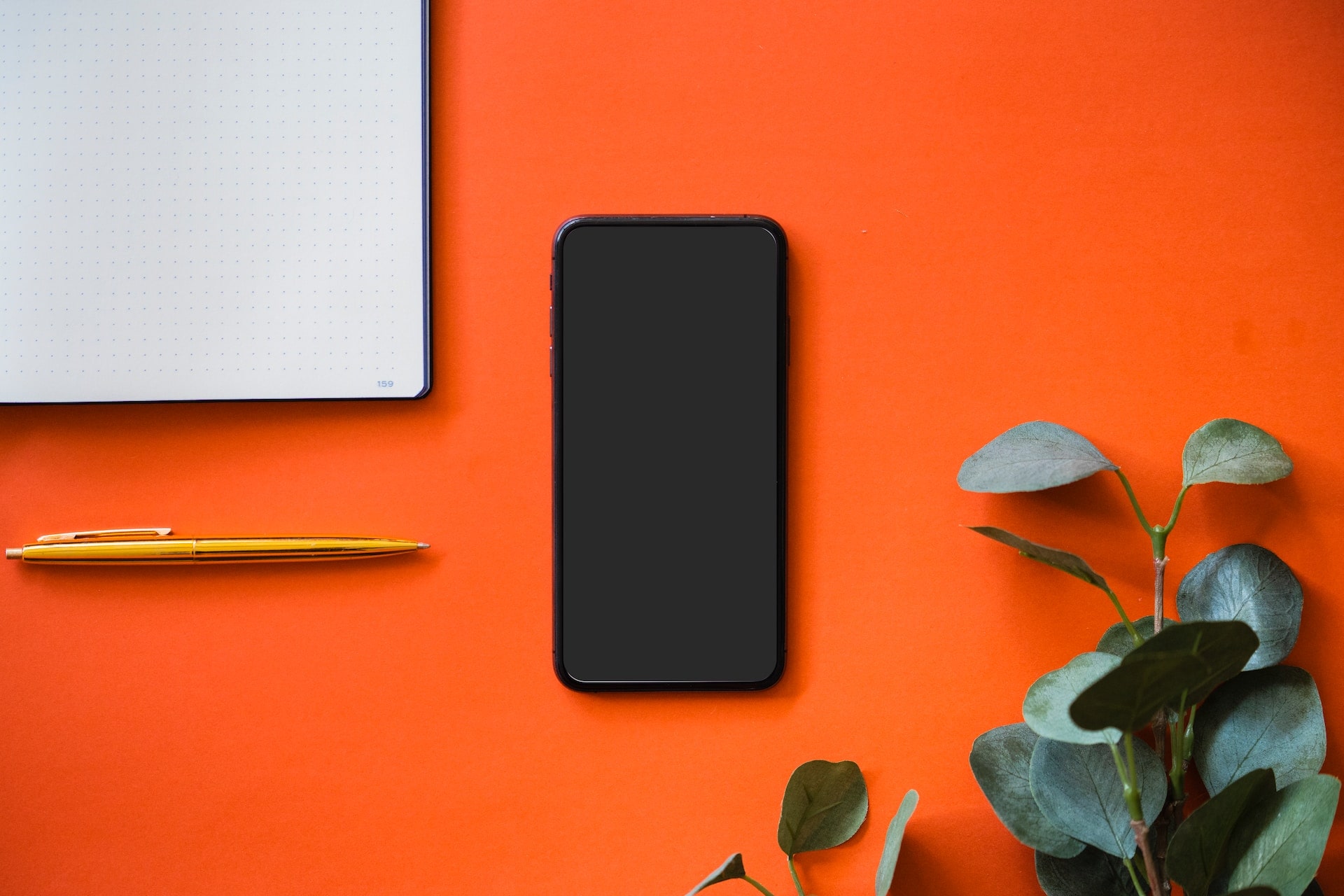 adomas-aleno-4vrZpOo7fTc-unsplash adomas-aleno-4vrZpOo7fTc-unsplash